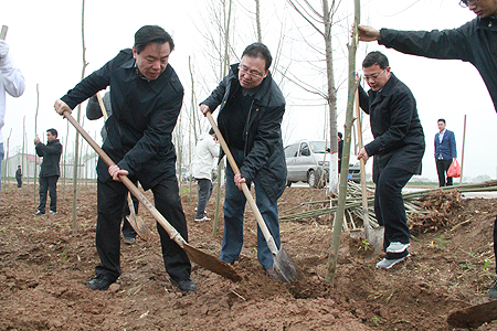 2025新老澳门原料免费大全
