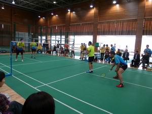 2025新老澳门原料免费大全