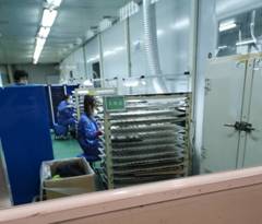 2025新老澳门原料免费大全