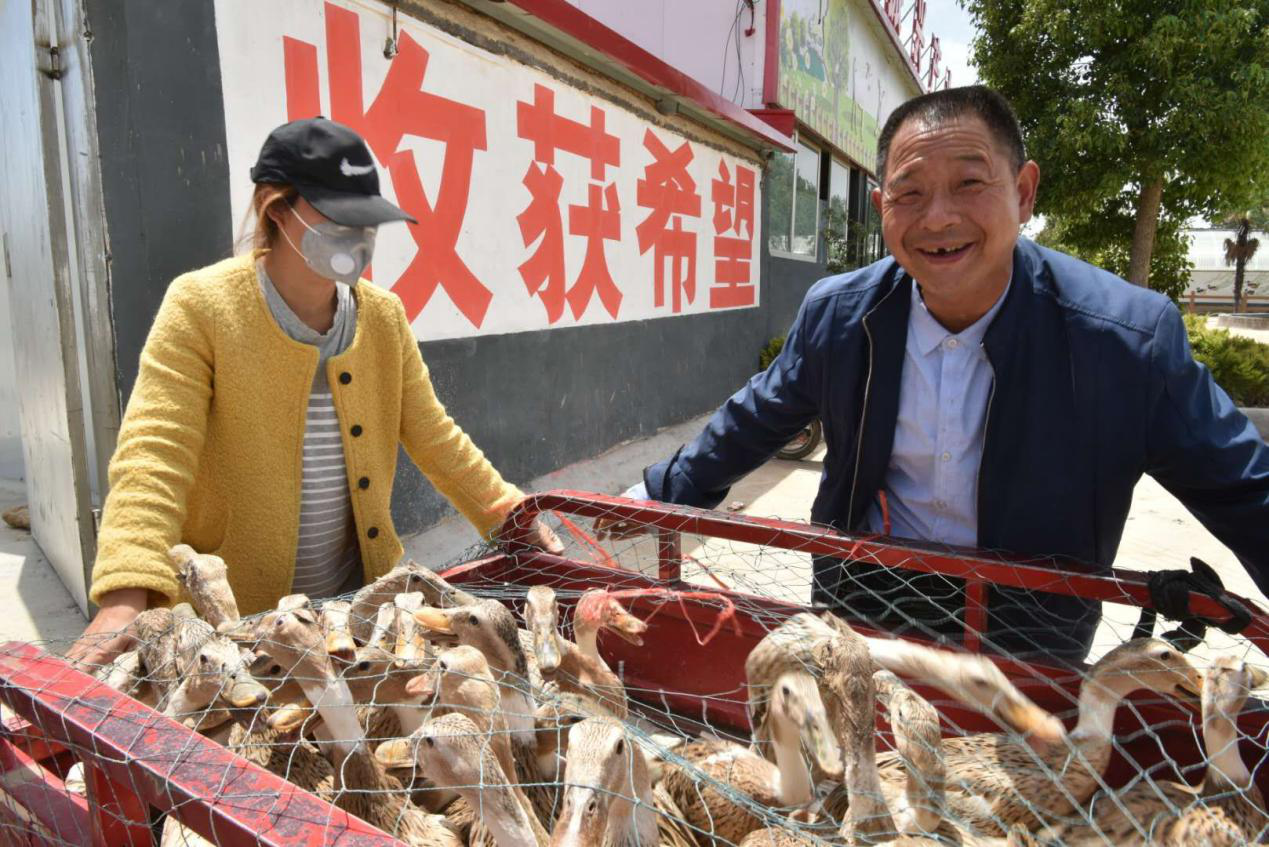 2025新老澳门原料免费大全