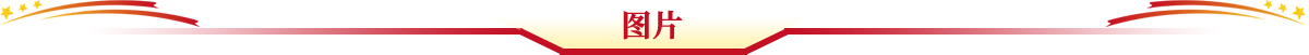 2025新老澳门原料免费大全
